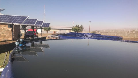 Water Remedition and Rehabilitation