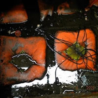 Floating /  Filter Bag