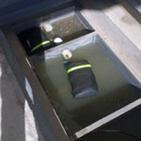 Floating /  Filter Bag